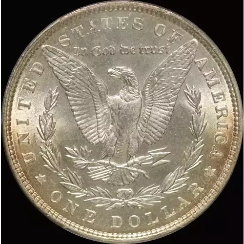 Morgan Silver Dollar (2)
