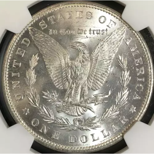 Morgan Silver Dollar (2)