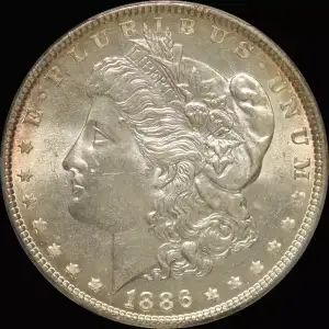 Morgan Silver Dollar